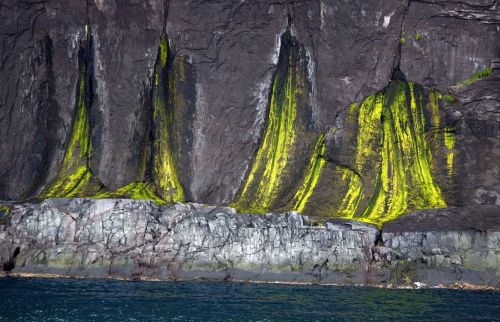 Fotografia de c3 - Galeria Fotografica: JAP�N - Foto: 