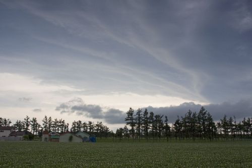 Fotografia de c3 - Galeria Fotografica: JAPN - Foto: 