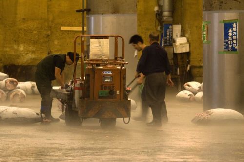 Fotografia de c3 - Galeria Fotografica: JAPN - Foto: 