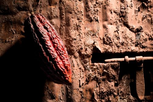 Fotografia de Alejandro Aguilera - Galeria Fotografica: Bodegn - Foto: 