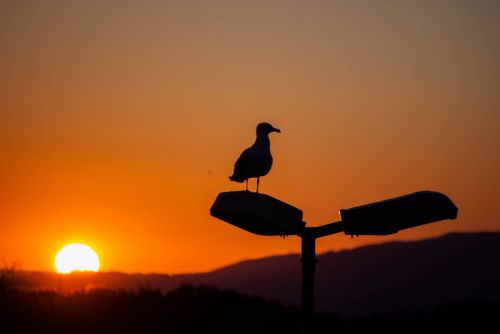 Fotografia de Alejandro Aguilera - Galeria Fotografica: Paisajes - Foto: 