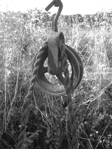 Fotografia de Elgard - Galeria Fotografica: Fotos de un principiante - Foto: Polea