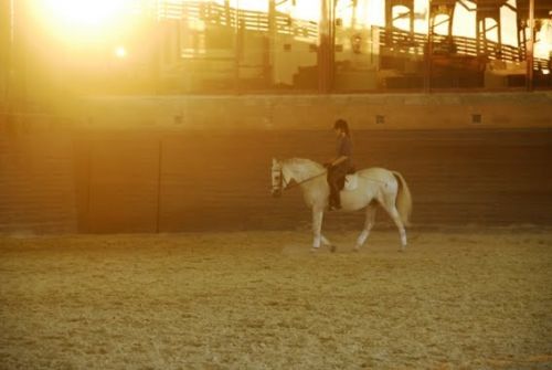 Fotografia de JOSE MOLINA - Galeria Fotografica: FOTO ILUSTRACI�N - Foto: 