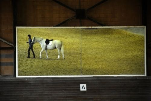 Fotografia de JOSE MOLINA - Galeria Fotografica: FOTO ILUSTRACI�N - Foto: 