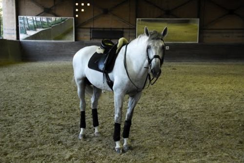 Fotografia de JOSE MOLINA - Galeria Fotografica: FOTO ILUSTRACI�N - Foto: 