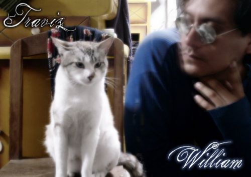 Fotografia de Arcangel - Galeria Fotografica: william ninahuanca - Foto: 