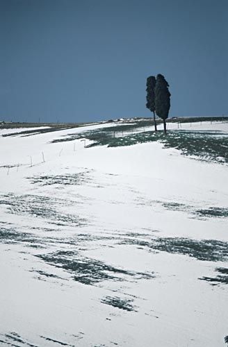 Fotografia de francofranceschi - Galeria Fotografica: the seasons in Chianti - Foto: invierno