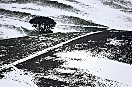 Fotografia de francofranceschi - Galeria Fotografica: the seasons in Chianti - Foto: invierno