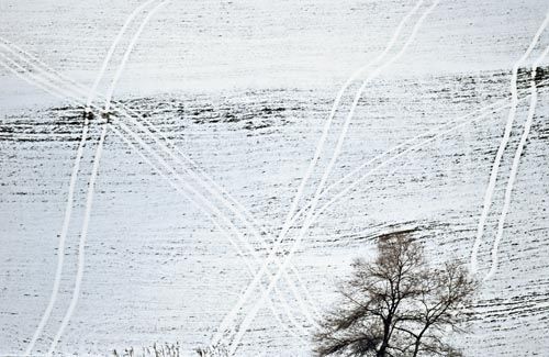 Fotografia de francofranceschi - Galeria Fotografica: the seasons in Chianti - Foto: invierno