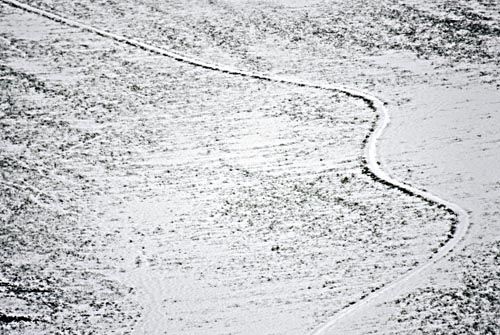 Fotografia de francofranceschi - Galeria Fotografica: the seasons in Chianti - Foto: invierno