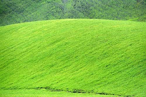 Fotografia de francofranceschi - Galeria Fotografica: the seasons in Chianti - Foto: invierno