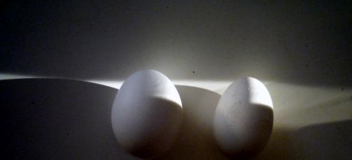 Fotografia de maridel majluf - Galeria Fotografica: El dolor - Foto: 