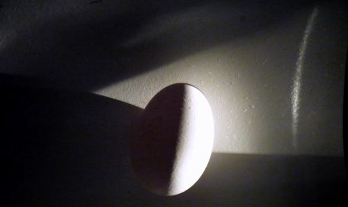 Fotografia de maridel majluf - Galeria Fotografica: El dolor - Foto: 