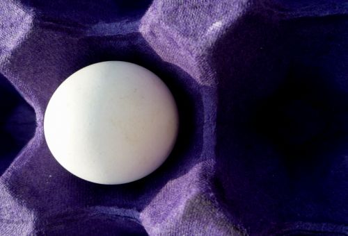 Fotografia de maridel majluf - Galeria Fotografica: El dolor - Foto: 