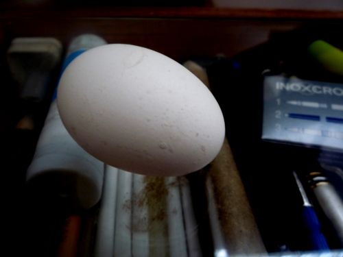 Fotografia de maridel majluf - Galeria Fotografica: El dolor - Foto: 