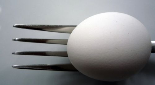 Fotografia de maridel majluf - Galeria Fotografica: El dolor - Foto: 