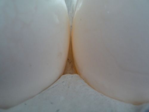 Fotografia de maridel majluf - Galeria Fotografica: El dolor - Foto: 