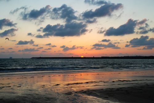 Fotografia de logut - Galeria Fotografica: Atardeceres de Valdelagrana - Foto: 