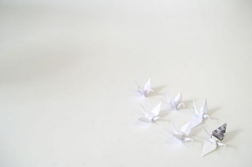 Fotografia de Vanessa Tio-Groset - Galeria Fotografica: Festa ao ritmo da chuva - Foto: Serie III- Foto 1