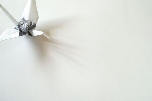 Fotografia de Vanessa Tio-Groset - Galeria Fotografica: Festa ao ritmo da chuva - Foto: Serie III- Foto 1