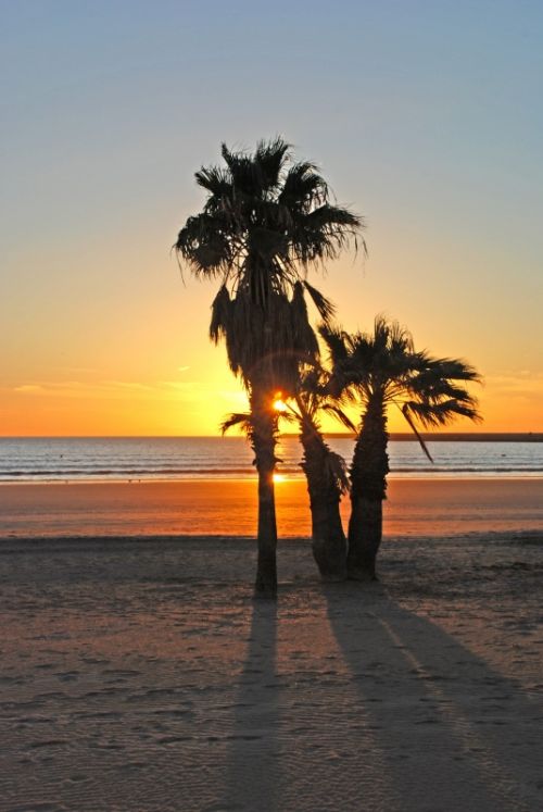 Fotografia de logut - Galeria Fotografica: Atardeceres de Valdelagrana - Foto: 