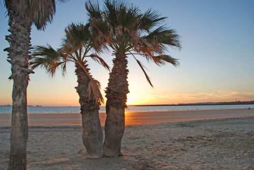 Fotografia de logut - Galeria Fotografica: Atardeceres de Valdelagrana - Foto: 