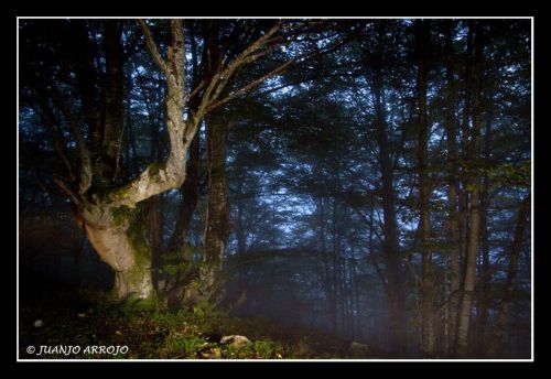 Fotografia de JUANJO ARROJO - Galeria Fotografica: toques de asturias - Foto: 