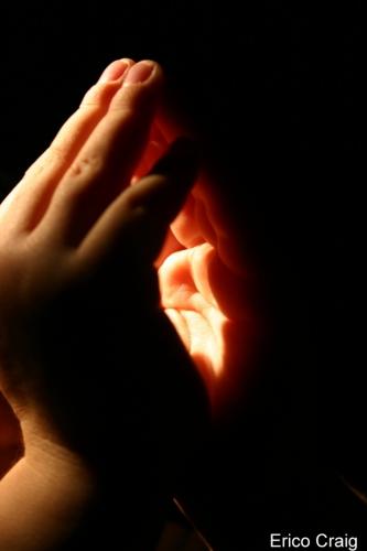 Fotografia de Artes Visuales - Galeria Fotografica: Muestra Lentes del Norte 2005 - Foto: Manos