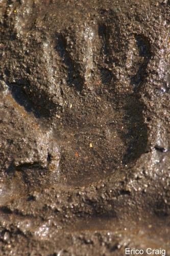 Fotografia de Artes Visuales - Galeria Fotografica: Muestra Lentes del Norte 2005 - Foto: Manos