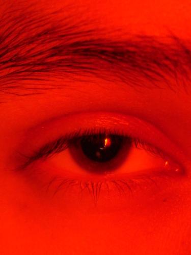 Fotografia de seb. - Galeria Fotografica: Macro - Foto: Ojo