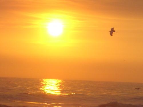 Fotografia de seb. - Galeria Fotografica: Paisajes - Foto: Sunset