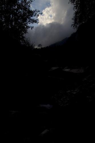 Fotografia de Sin Nombre - Galeria Fotografica: Rango dinmico: bosque encantado - Foto: Medicin al cielo