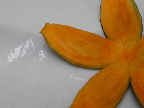 Fotografia de BREKNA - Galeria Fotografica: DE ESTO Y DE AQUELLO - Foto: VERDADERO ZAPOTE