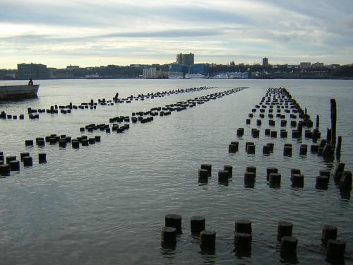 Fotografia de avesnatureza - Galeria Fotografica: New York - Foto: hudson river