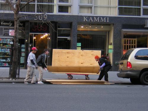 Fotografia de avesnatureza - Galeria Fotografica: New York - Foto: work