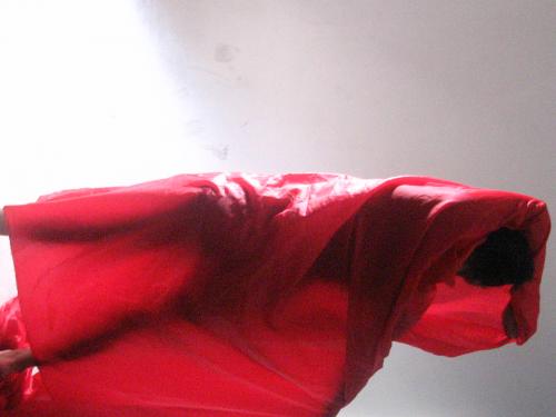 Fotografia de PAOLA ANDREA - Galeria Fotografica: MI BOOK 2 - Foto: 