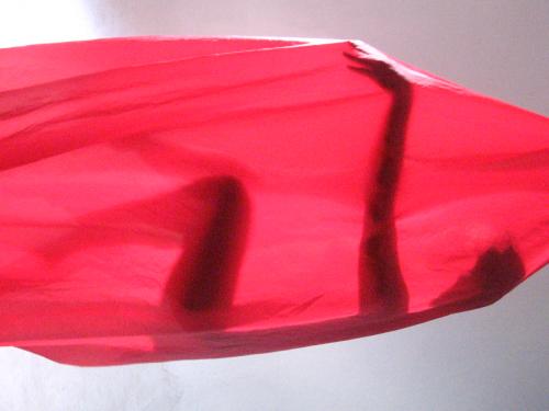 Fotografia de PAOLA ANDREA - Galeria Fotografica: MI BOOK 2 - Foto: 