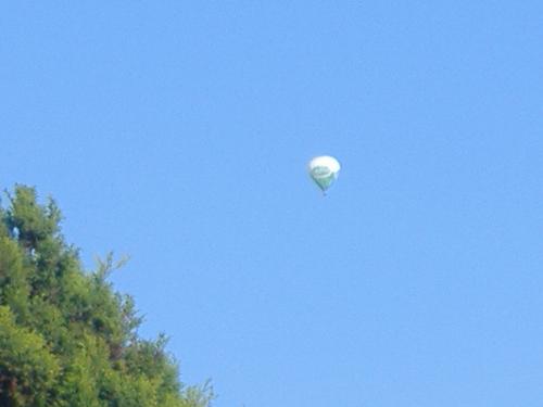 Fotografia de Luna - Galeria Fotografica: Mi mundo - Foto: 