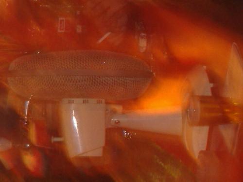 Fotografia de Luna - Galeria Fotografica: Mi mundo - Foto: 