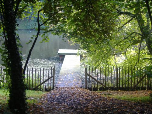 Fotografia de Luna - Galeria Fotografica: Mi mundo - Foto: 