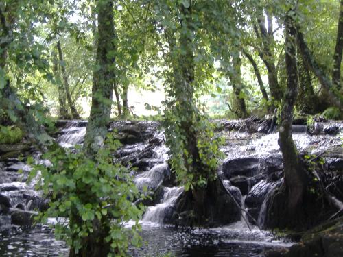 Fotografia de Luna - Galeria Fotografica: Mi mundo 2 - Foto: 