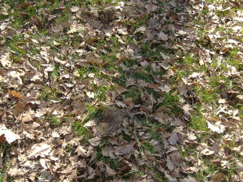 Fotografia de Luna - Galeria Fotografica: Mi mundo 3 - Foto: 