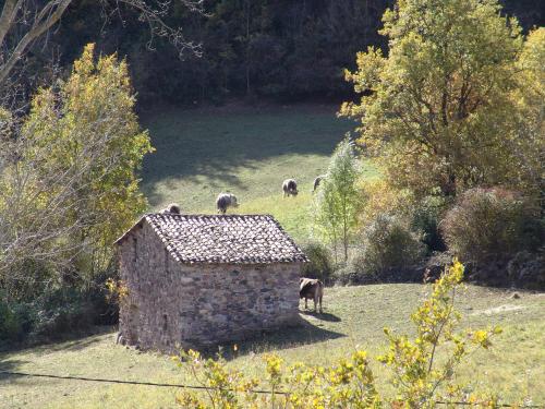 Fotografia de FOTOMAHE - Galeria Fotografica: Mis Preferidas - Foto: Buclica