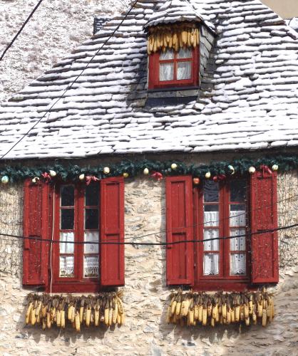 Fotografia de FOTOMAHE - Galeria Fotografica: Mis Preferidas - Foto: Panochas al Sol