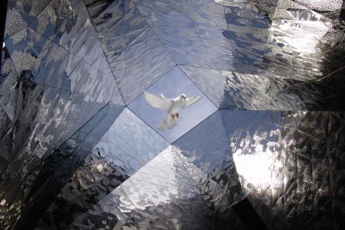 Fotografia de FOTOMAHE - Galeria Fotografica: Mis Preferidas - Foto: La Paloma del Form