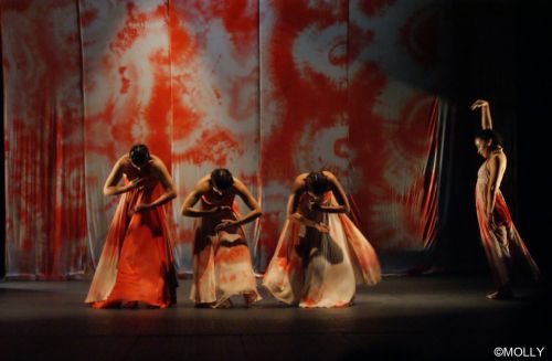 Fotografia de Patricia Guill�n - Galeria Fotografica: XIII FESTIVAL INTERNACIONAL DE DANZA CONTEMPOR�NEA DE MICHOAC�N - Foto: XIII FESTIVAL INTERNACIONAL DE DANZA CONTEMPOR�NEA