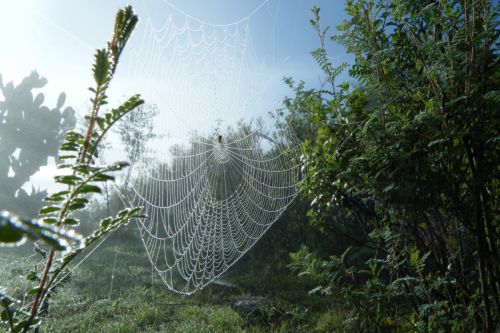 Fotografia de oscar - Galeria Fotografica: luz - Foto: telaraa
