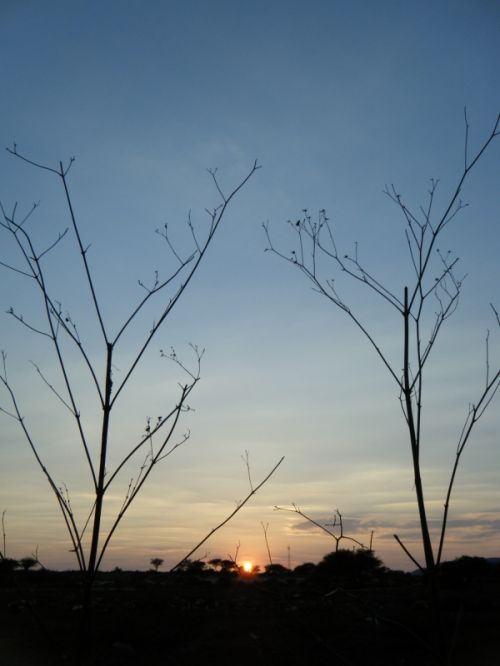 Fotografia de oscar - Galeria Fotografica: luz - Foto: lineas