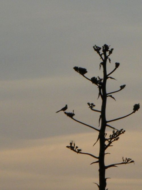 Fotografia de oscar - Galeria Fotografica: luz - Foto: una pieza