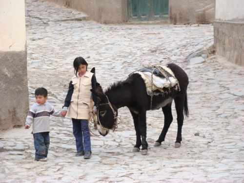 Fotografia de andrea - Galeria Fotografica: la humanidad somos todos  - Foto: 